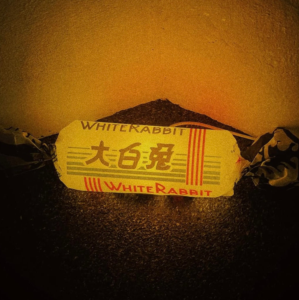 Wired White Rabbit Candy Lamp